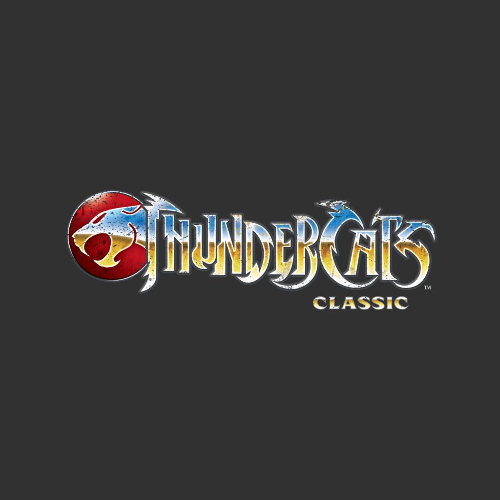 Thundercats Classic Logo Men's T-Shirt product image 2